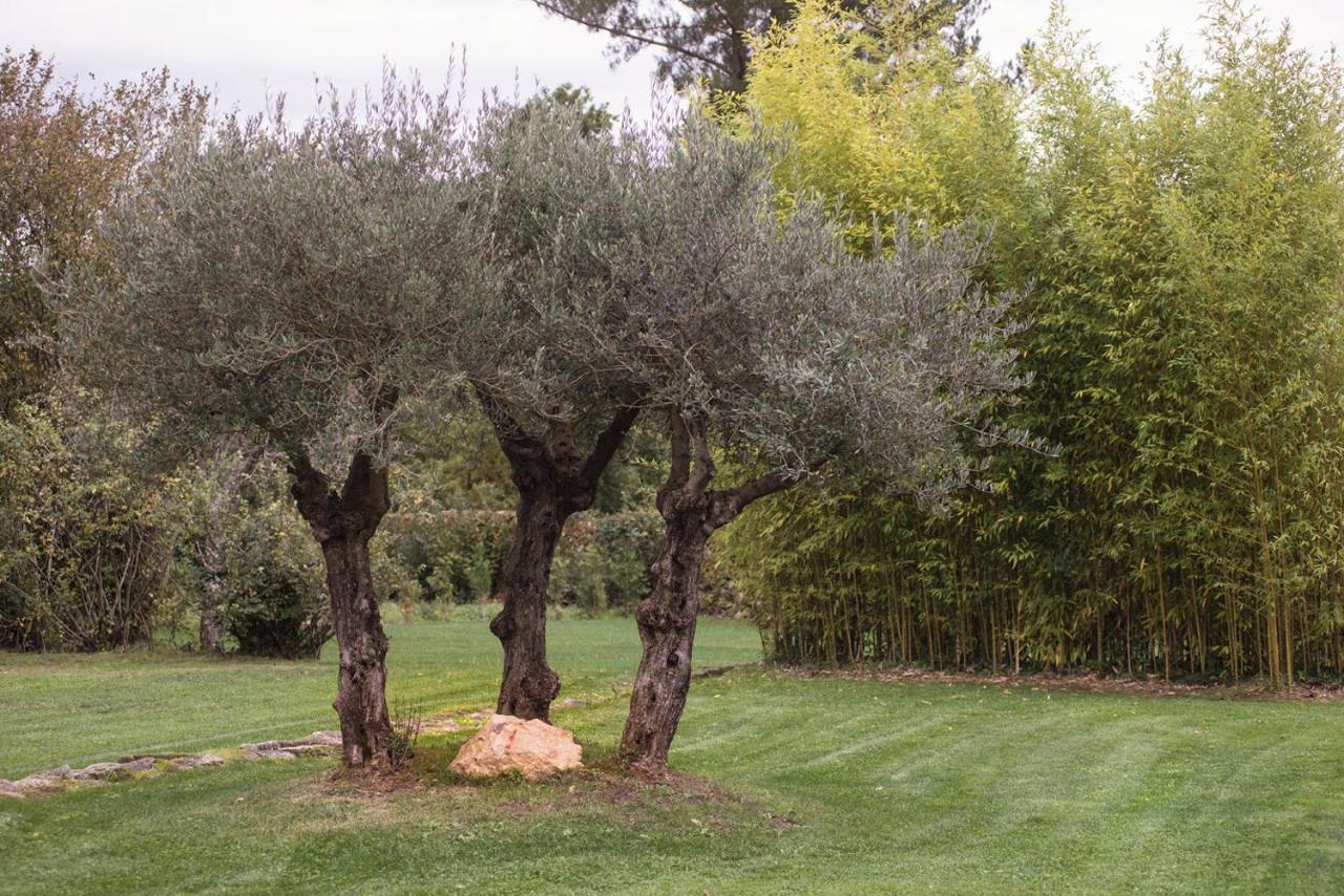 Jardines Pazo A Fabrica Pensionat Celanova Eksteriør billede